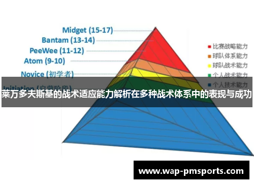 莱万多夫斯基的战术适应能力解析在多种战术体系中的表现与成功