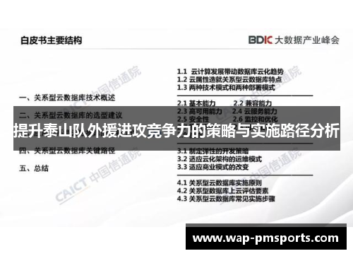 提升泰山队外援进攻竞争力的策略与实施路径分析