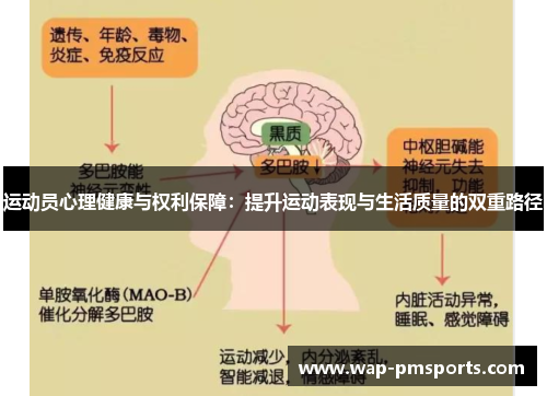 运动员心理健康与权利保障：提升运动表现与生活质量的双重路径