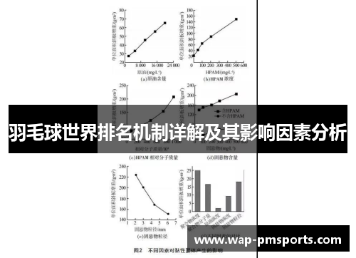 羽毛球世界排名机制详解及其影响因素分析