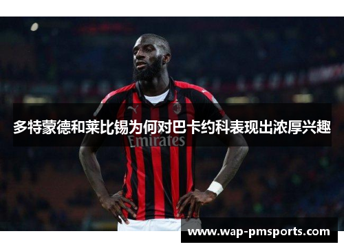 多特蒙德和莱比锡为何对巴卡约科表现出浓厚兴趣