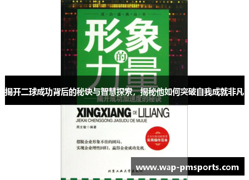揭开二球成功背后的秘诀与智慧探索，揭秘他如何突破自我成就非凡