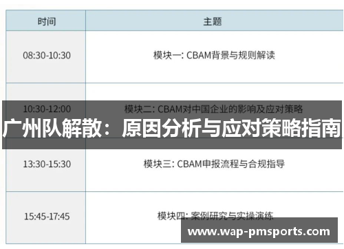 广州队解散：原因分析与应对策略指南