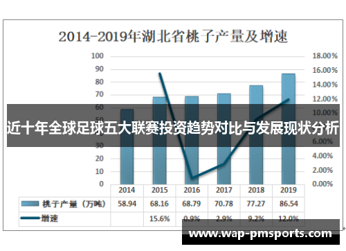 近十年全球足球五大联赛投资趋势对比与发展现状分析