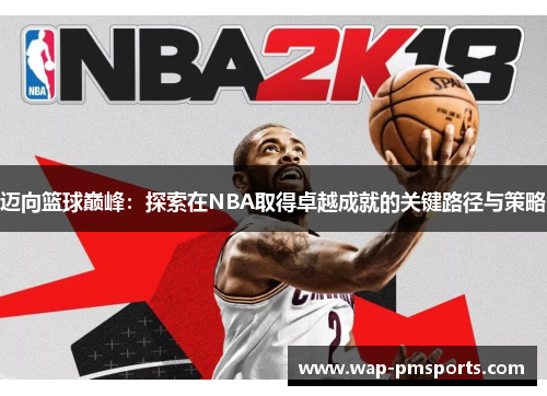 迈向篮球巅峰：探索在NBA取得卓越成就的关键路径与策略