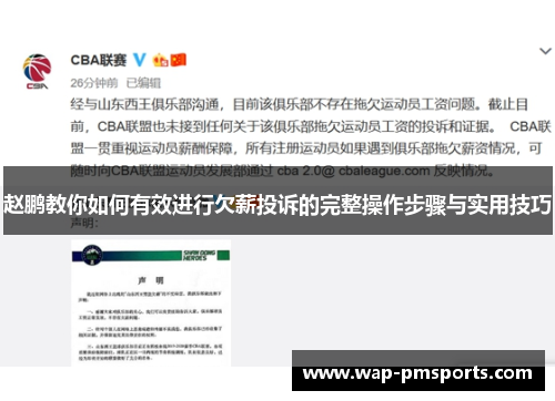 赵鹏教你如何有效进行欠薪投诉的完整操作步骤与实用技巧