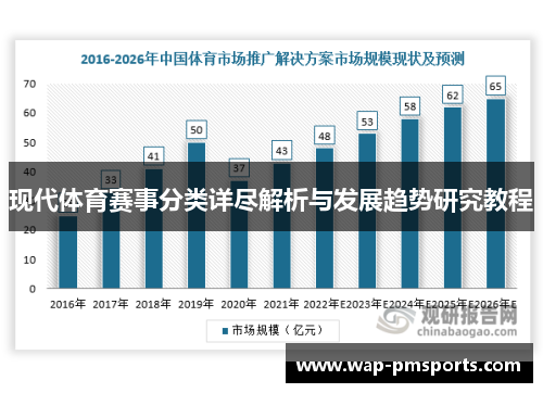 现代体育赛事分类详尽解析与发展趋势研究教程