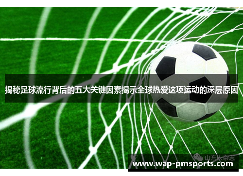 揭秘足球流行背后的五大关键因素揭示全球热爱这项运动的深层原因