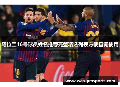 乌拉圭16号球员姓名推荐完整精选列表方便查询使用